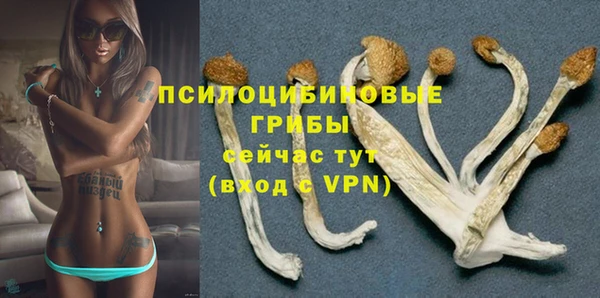 кокаин Алексин
